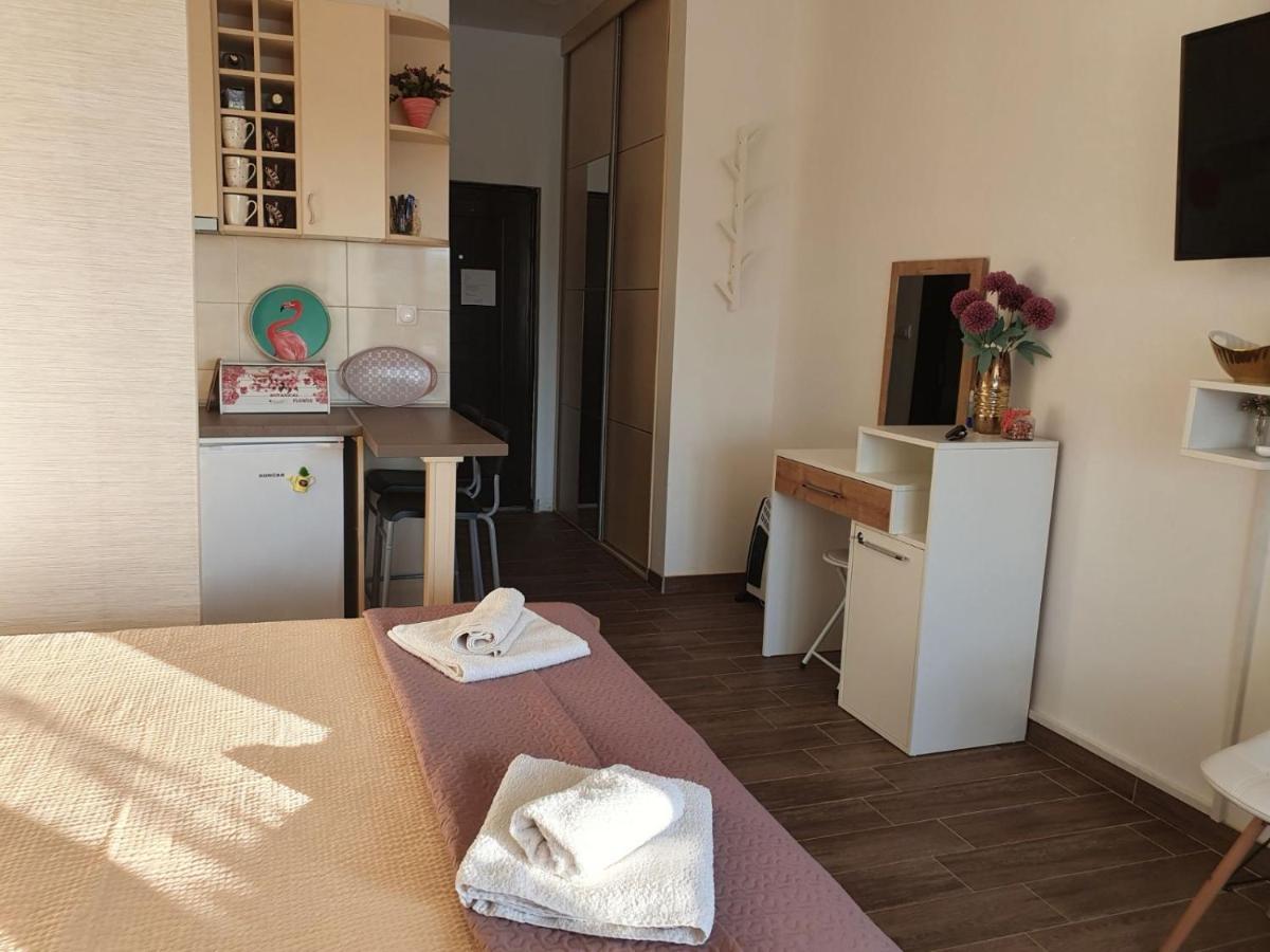 Zen Apartment Veliko Gradište المظهر الخارجي الصورة